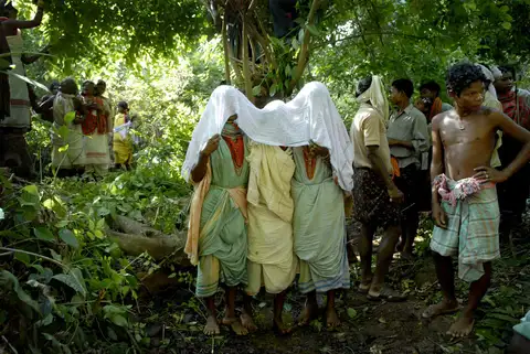  ହେଡି ବେଲାନି ପଟ