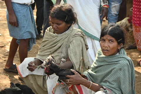 Dongaria Kandha Photo