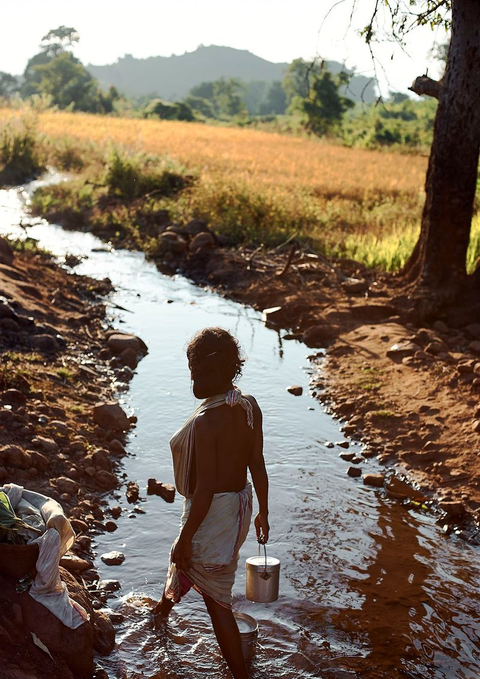 Dongaria Kandha Photo