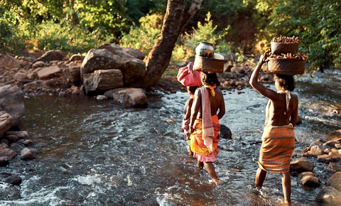 Dongaria Kandha Photo