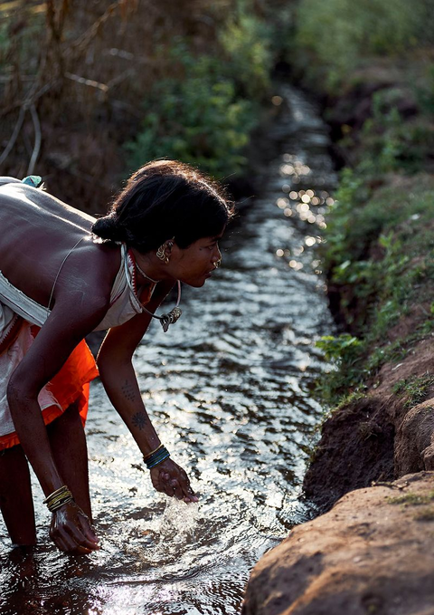 Dongaria Kandha Photo