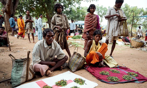 Dongaria Kandha Photo