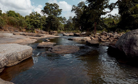 Dongaria Kandha Photo