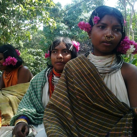 Dongaria Kandha Photo