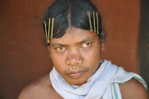 Dongaria Kandha Photo