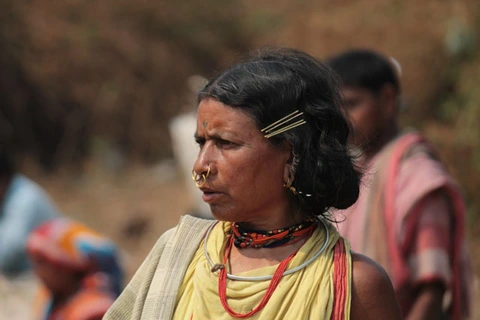 Dongaria Kandha Photo