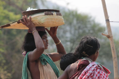 Dongaria Kandha Photo