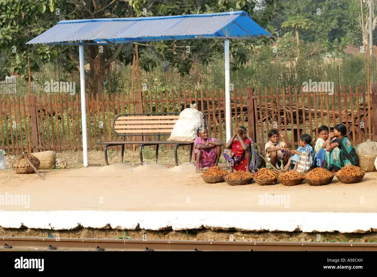 ଡଙ୍ଗରିଆ ଲୋକୁ