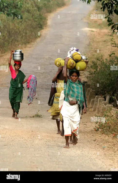 ଡଙ୍ଗରିଆ ଲୋକୁ