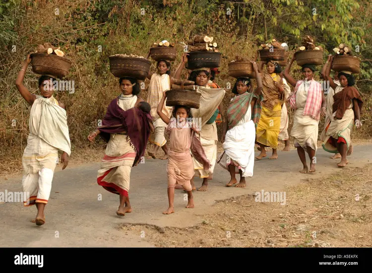 ଡଙ୍ଗରିଆ ଲୋକୁ