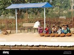 ଡଙ୍ଗରିଆ ଲୋକୁ