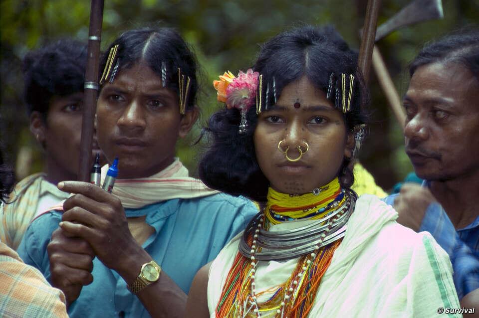 dongaria